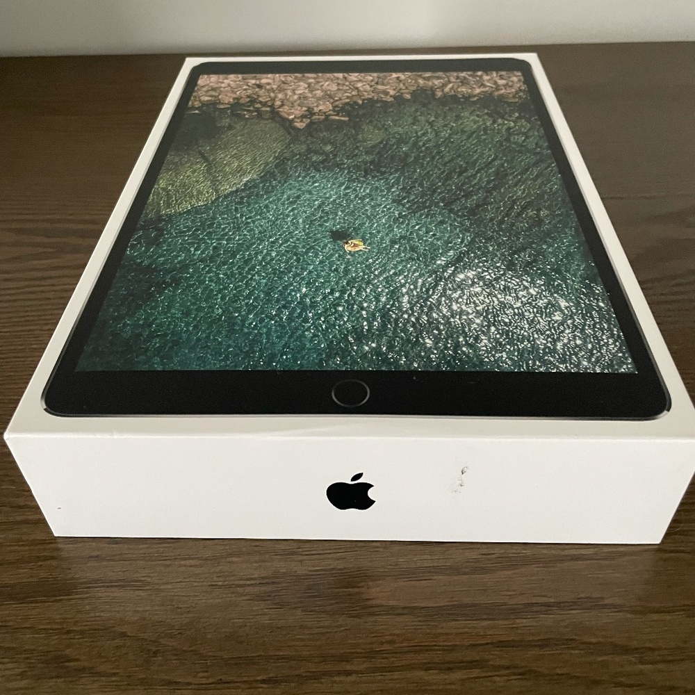 Apple iPad Pro 2nd Generation 256 GB in Space Gray